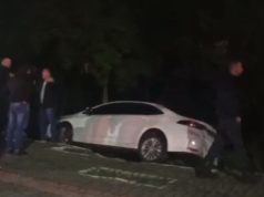 Árvore evita tragédia e para carro que quase cai no Rio Tubarão em Tubarão