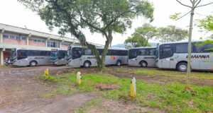 Tubarão amplia atendimento do Facilita e prorroga gratuidade até 27 de junho