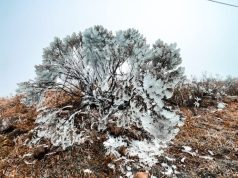 Geada Ampla e Frio Extremo: Previsão do Tempo para Tubarão na Semana