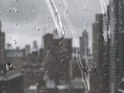 Tubarão tem chuva moderada nesta quarta e segue em situação normal até quinta-feira (2) Foto: Magnific – BANCO DE IMAGENS