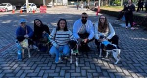 Feira de adoção reúne cães resgatados neste sábado no Centro de Tubarão