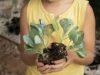 Projeto de Educação Ambiental leva coleta seletiva às escolas municipais de Tubarão Imagem: Magnific