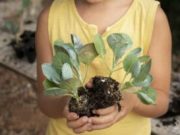 Projeto de Educação Ambiental leva coleta seletiva às escolas municipais de Tubarão Imagem: Magnific