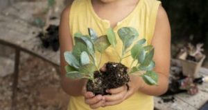 Projeto de Educação Ambiental leva coleta seletiva às escolas municipais de Tubarão Imagem: Magnific