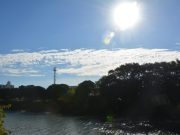 Tubarão tem sexta-feira de sol e tempo firme neste 31/07