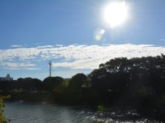 Tubarão tem sexta-feira de sol e tempo firme neste 31/07