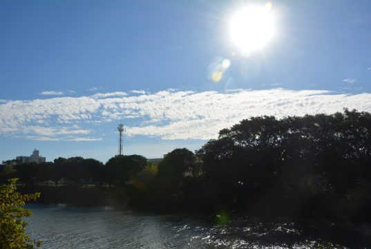 Previsão do tempo em Tubarão: sol e calor de até 29°C no fim de semana