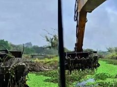 Jacaré-de-papo-amarelo é encontrado em escavadeira durante limpeza do Rio da Madre em Tubarão Jacaré aparece sobre escavadeira durante obra em Tubarão — Foto: Ronan Alves/Arquivo pessoal