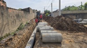 Fotos: Divulgação
