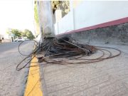Foto: Vinicius Duarte/Gecom/PMT