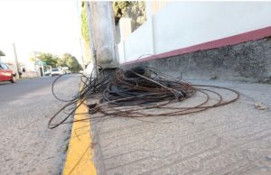 Foto: Vinicius Duarte/Gecom/PMT