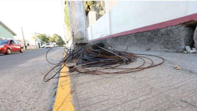 Foto: Vinicius Duarte/Gecom/PMT