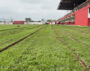 Obra prevê instalação de grama sintética e deve ser concluída até dezembro