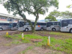 Foto: Arquivo/GeCom/PMT