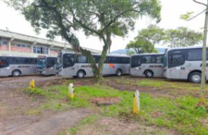 Ônibus Gratuitos em Tubarão Garantem Acesso ao Voto no Domingo de Eleições Foto: Arquivo/GeCom/PMT