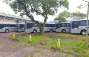 Ônibus gratuitos em Tubarão no domingo de eleições Foto: Arquivo/GeCom/PMT