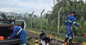 Zeladoria em Tubarão: limpeza e manutenção retomam após feriado Fotos: Divulgação/PMT