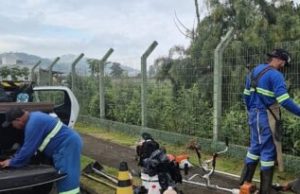 Zeladoria em Tubarão: limpeza e manutenção retomam após feriado Fotos: Divulgação/PMT